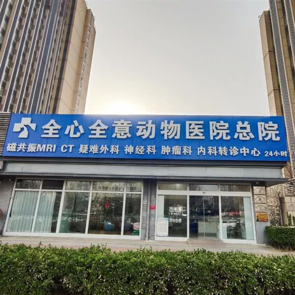 全心全意连锁动物医院总院·猫科·动物医院:北京城区大兴区黄村附近