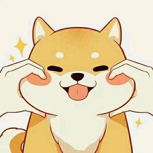 提姆宠物:北京城区大兴区黄村附近