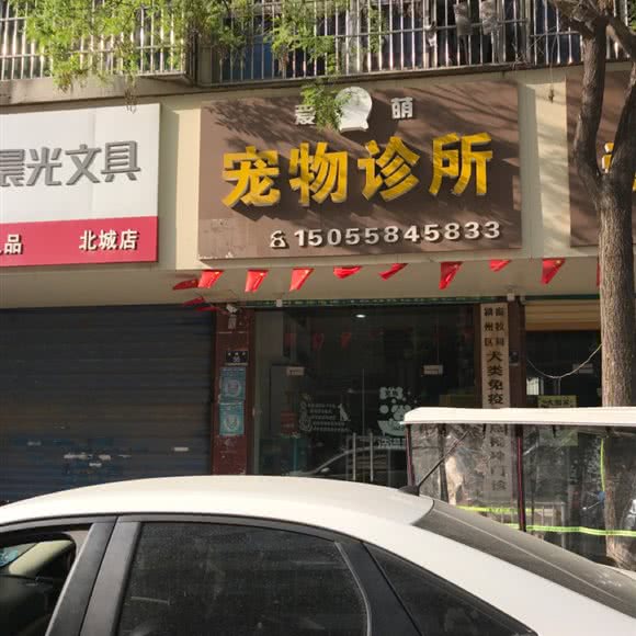 爱萌宠物诊所:阜阳市颍州区鼓楼附近