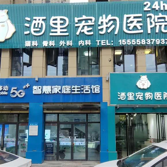 酒里宠物医院:阜阳市颍州区宝龙广场附近