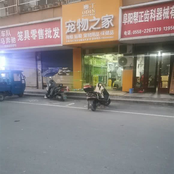 奥丁宠物之家:阜阳市颍州区东城墙路附近