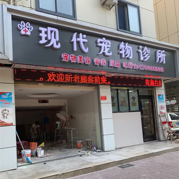 现代宠物医院:阜阳市颍泉区东方第一城附近
