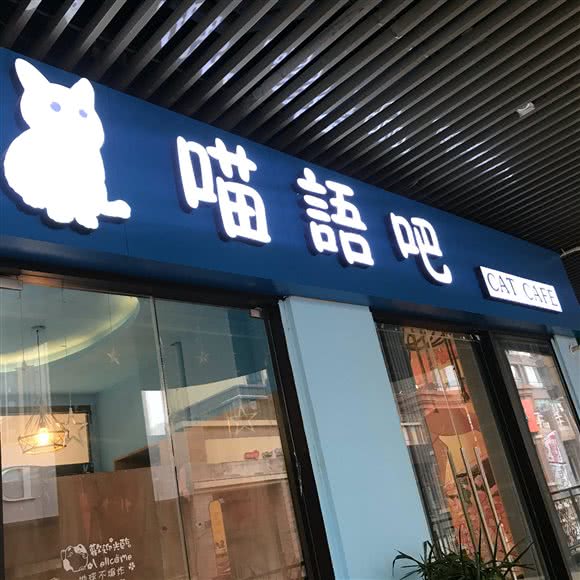喵语吧猫咪日常生活体验馆:宿州市埇桥区万达广场附近