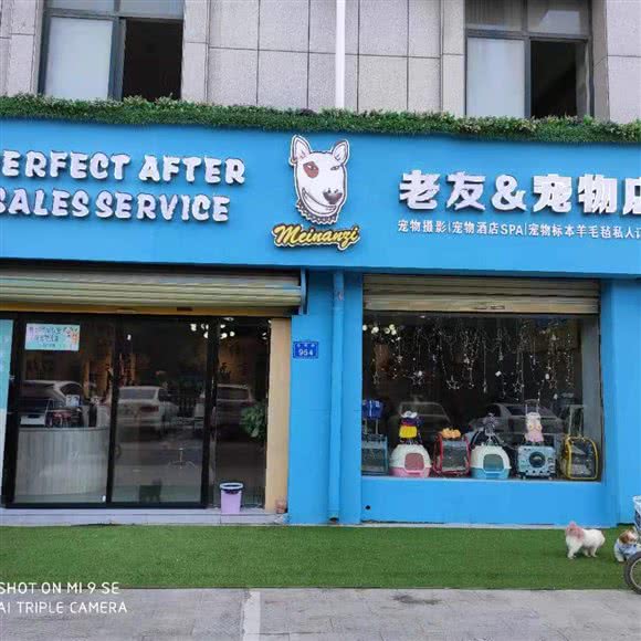 老友&宠物店:宿州市埇桥区两淮/乐天玛特附近