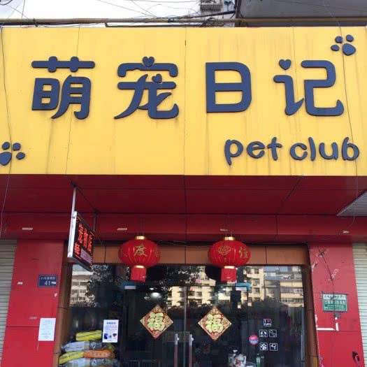 萌宠日记:宿州市埇桥区百货大楼附近