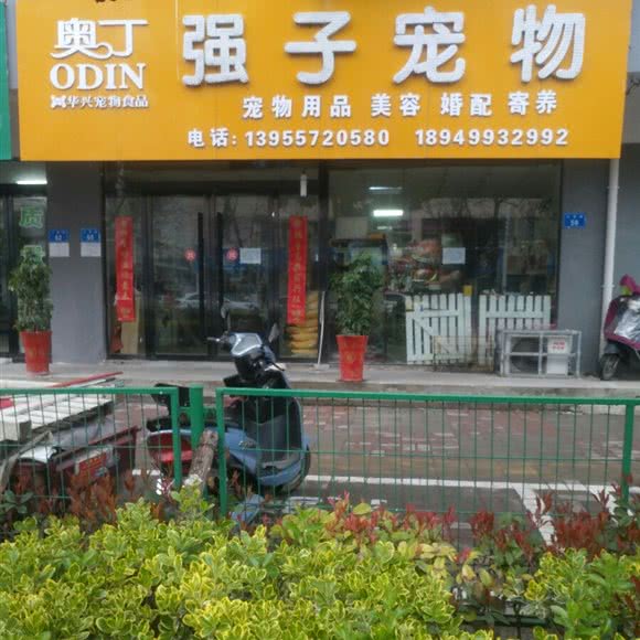 强子狗狗:宿州市埇桥区雪枫公园附近