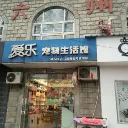 交响乐团宠物:六安市金安区红街附近