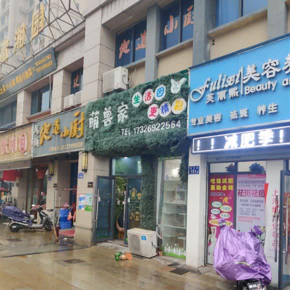 萌兽家:六安市金安区海心沙广场附近