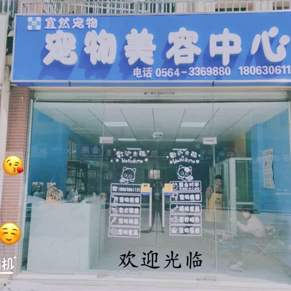 宠物美容中心:六安市金安区万达广场附近