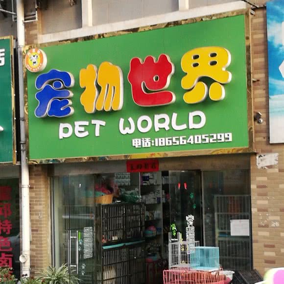 宠物世界:六安市金安区正阳路附近