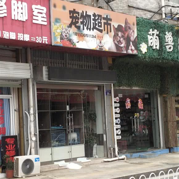 宠物超市:六安市裕安区鼓楼新天地附近