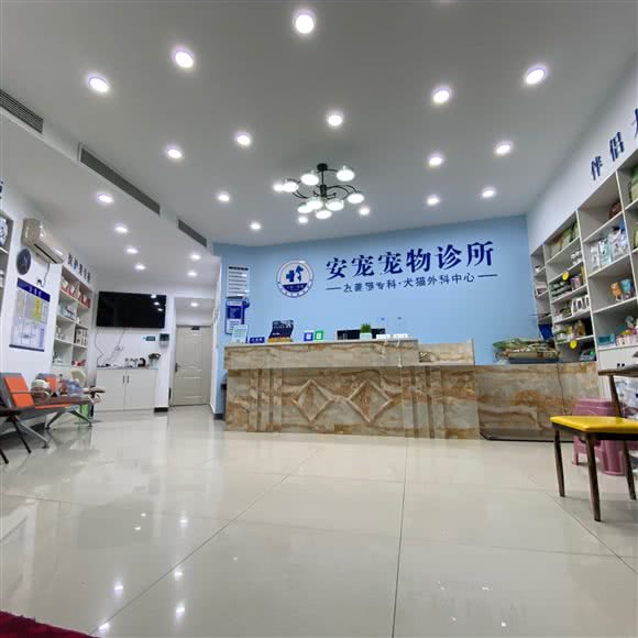 安宠宠物诊所:六安市裕安区金外滩附近