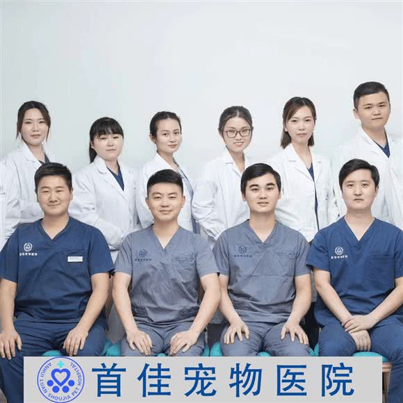 首佳宠物医院(龙河路店):六安市裕安区金外滩附近