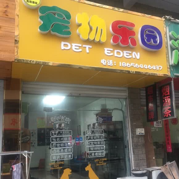 克拉爸比宠物乐园:六安市裕安区明珠步行街附近