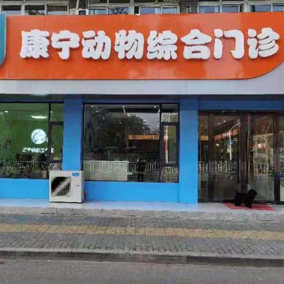 康宁动物综合门诊:池州市贵池区远东国际附近