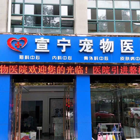 宣宁宠物医院:宣城市宣州区西林名都附近