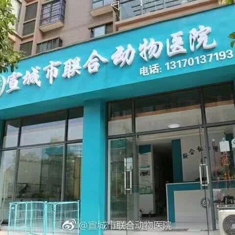 联合动物医院(猫友好型医院):宣城市宣州区万达广场附近