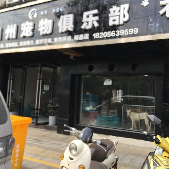 加州宠物俱乐部:宣城市广德市广德市附近