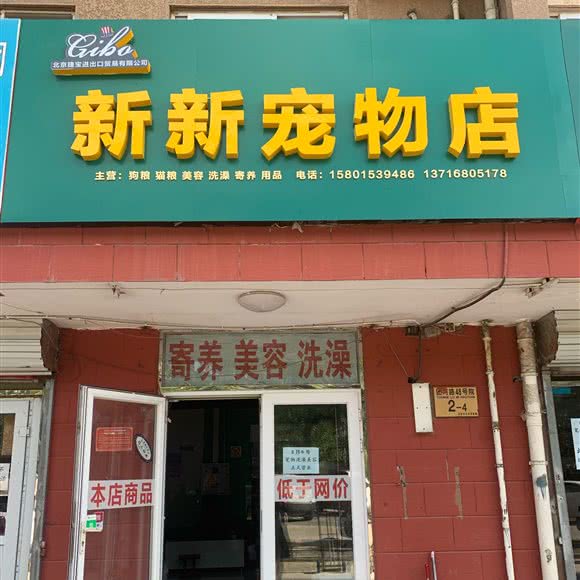 新新宠物店:北京城区大兴区黄村附近