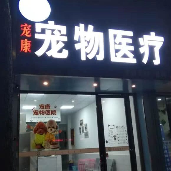 宠康宠物医疗(横山南路店):宣城市广德市广德市附近