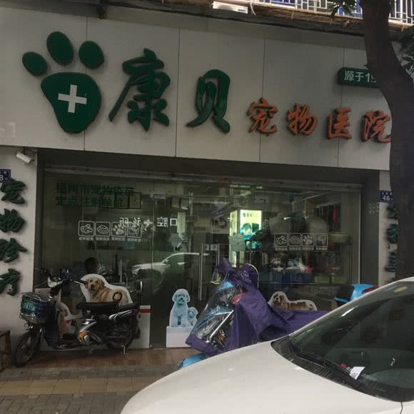 康贝宠物医院(五显巷店):福州市鼓楼区东街口/三坊七巷附近