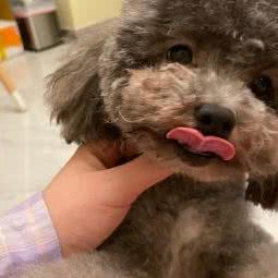 宠诗宠物生活馆:福州市鼓楼区左海/西湖公园附近