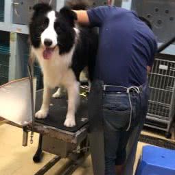 钦差宠物生活馆(五凤店):福州市鼓楼区左海/西湖公园附近