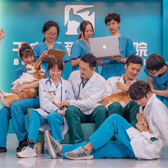 千宠百爱宠物医院:福州市鼓楼区福新路附近