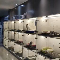 Pet home 宠宅:福州市鼓楼区津泰路/协和医院附近