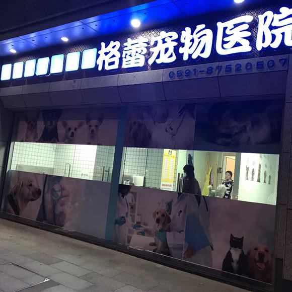 格蕾宠物医院:福州市鼓楼区津泰路/协和医院附近
