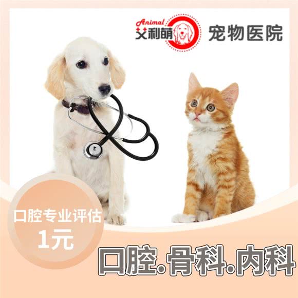 艾利萌宠物医院(工业路店):福州市台江区茶亭世茂附近