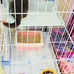 宠物之十家:福州市台江区宝龙万象城附近