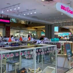 wuli cat猫咪主题馆:福州市台江区宝龙万象城附近