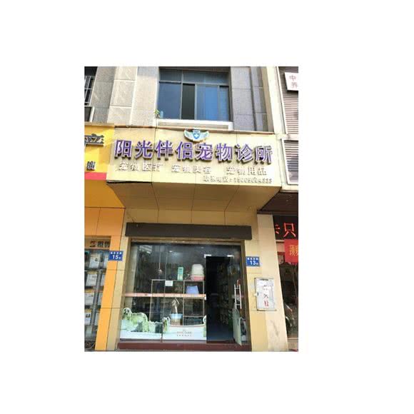 阳光伴侣宠物诊所:福州市台江区中亭街附近