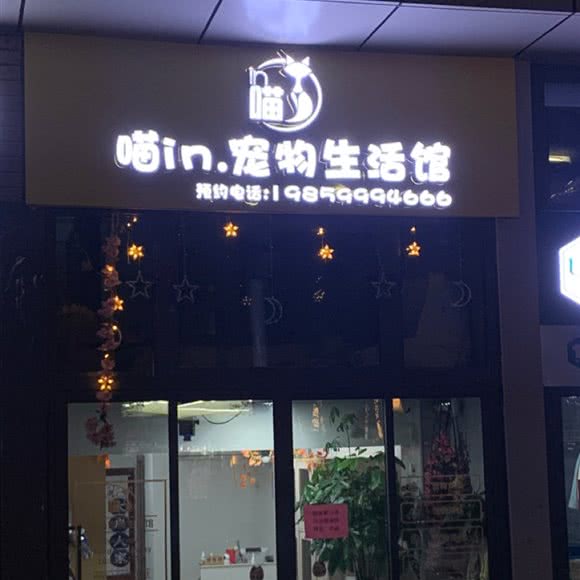 喵in.宠物生活馆:福州市台江区台江万达附近