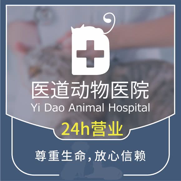 医道动物医院(骨科·猫科·急重症中心):福州市台江区双杭城MINI墅附近