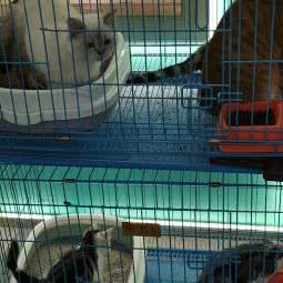 猫生:福州市台江区宝龙城市广场附近