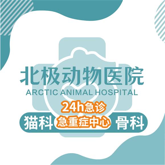 北极动物医院猫科·骨科中心:福州市仓山区仓山万达/万象里附近