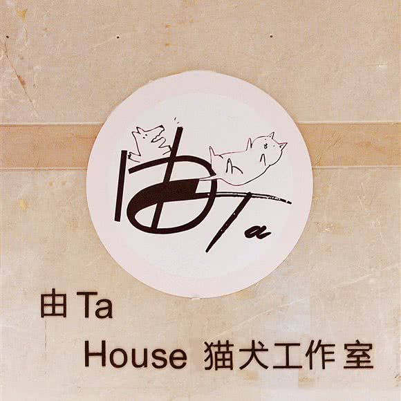 由Ta house猫犬工作室:福州市仓山区爱琴海购物公园附近