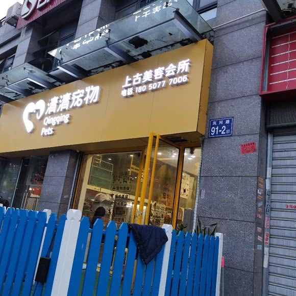 清清宠物狗:福州市仓山区榕城广场/金山公交站附近