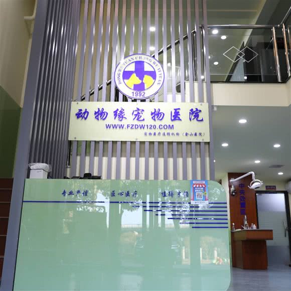 动物缘宠物医院(金山分院):福州市仓山区榕城广场/金山公交站附近