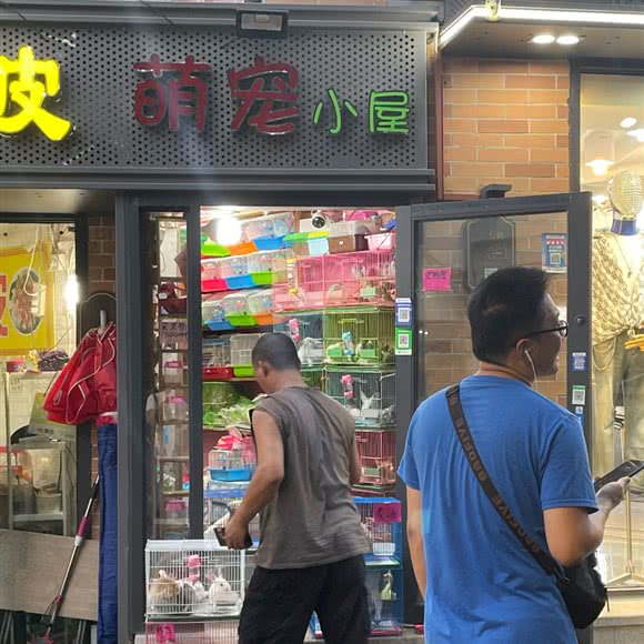 萌宠地下室:福州市仓山区福建师大/学生街附近