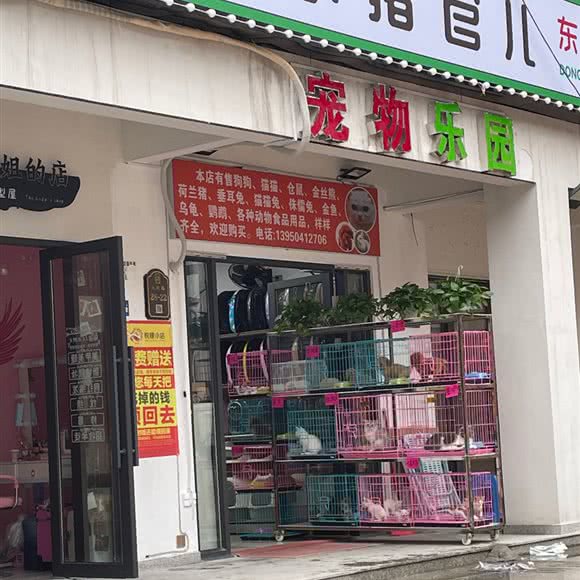 宠物乐园:福州市仓山区福建师大/学生街附近