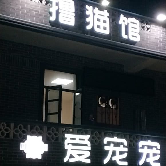 撸猫园:福州市仓山区福建师大/学生街附近