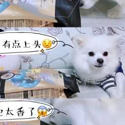 疯狂小狗宠物:福州市仓山区福建师大/学生街附近