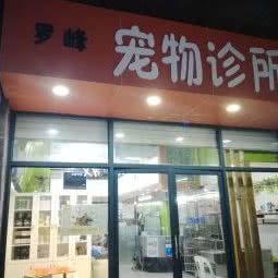 罗峰宠物诊所:福州市仓山区福建师大/学生街附近