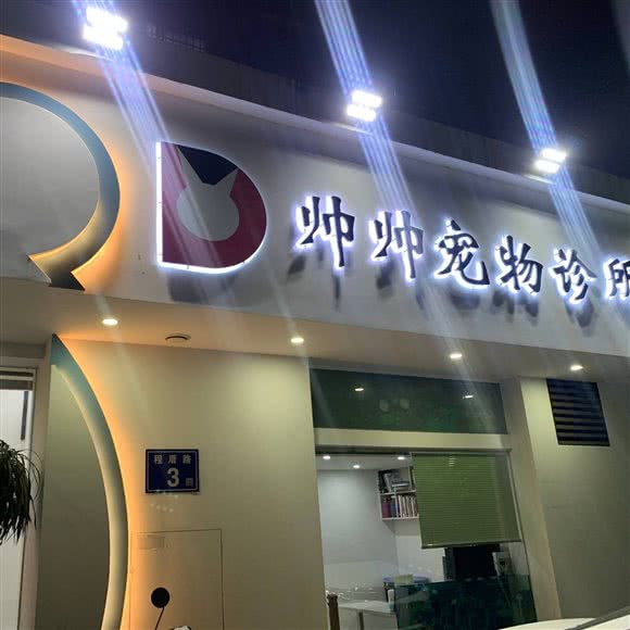帅帅宠物诊疗:福州市仓山区福建师大/学生街附近