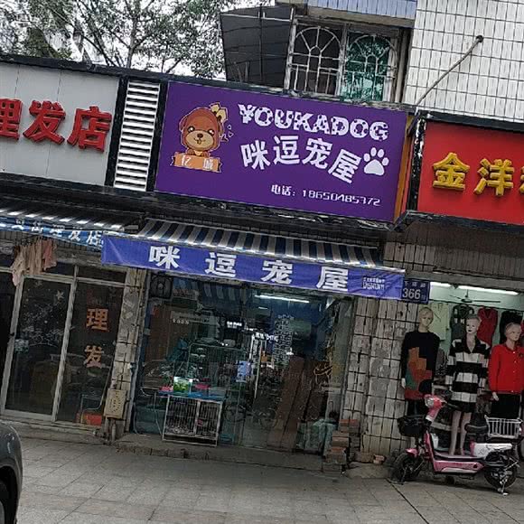 咪逗宠物:福州市仓山区三叉街附近
