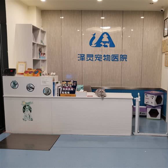 泽灵宠物医院:福州市仓山区金山大道附近