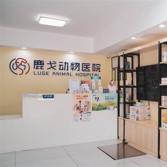 鹿戈动物医院:福州市仓山区金山大道附近